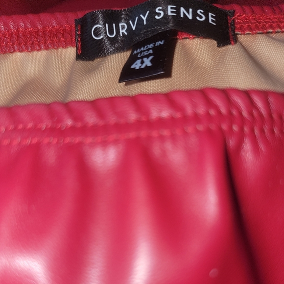 NEW NWOT CurvySense Plus Size Blair Red Fauxe Leather Dress - Picture 5 of 7